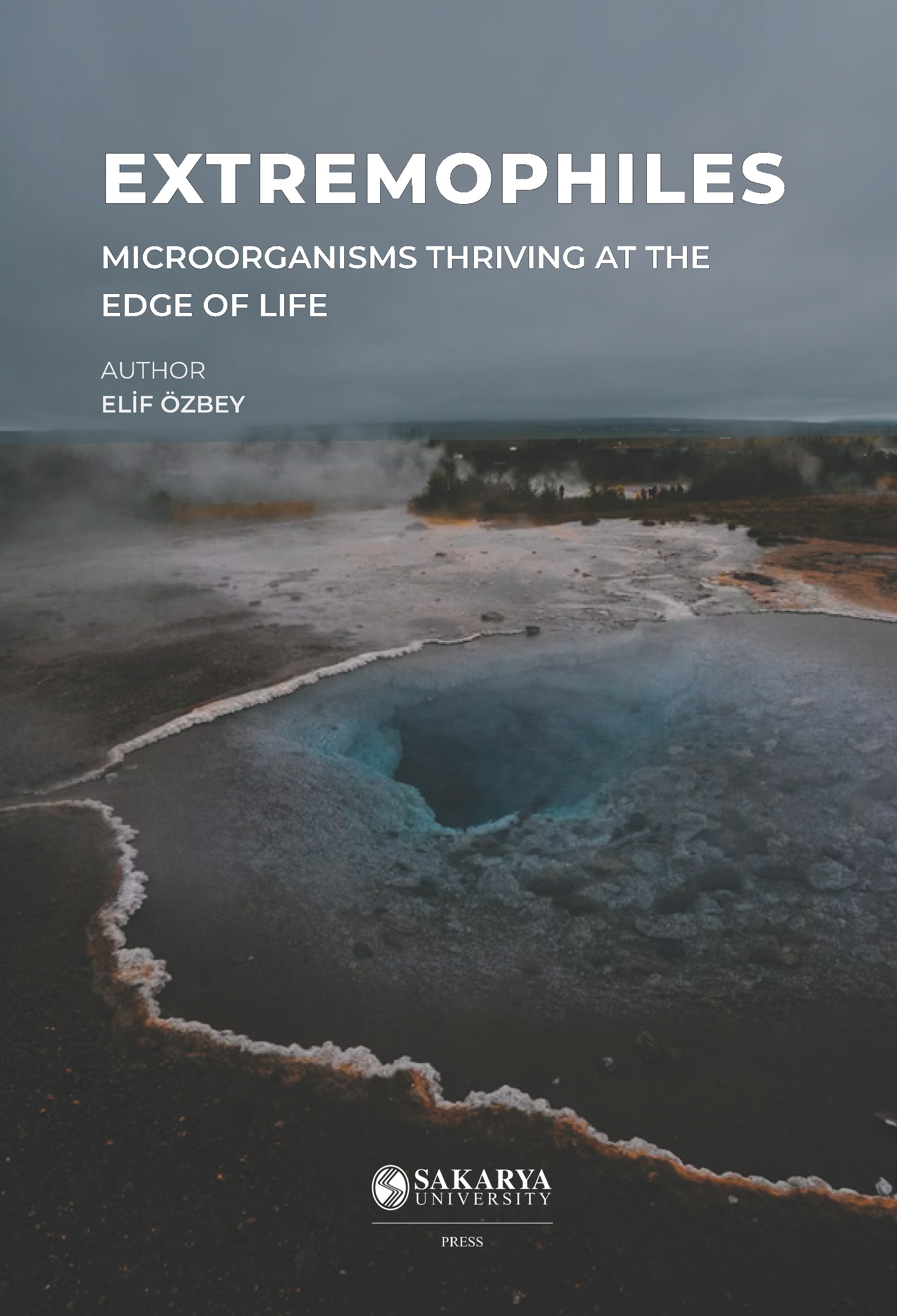 Yaşamın Sınırlarında Mikroorganizmalar