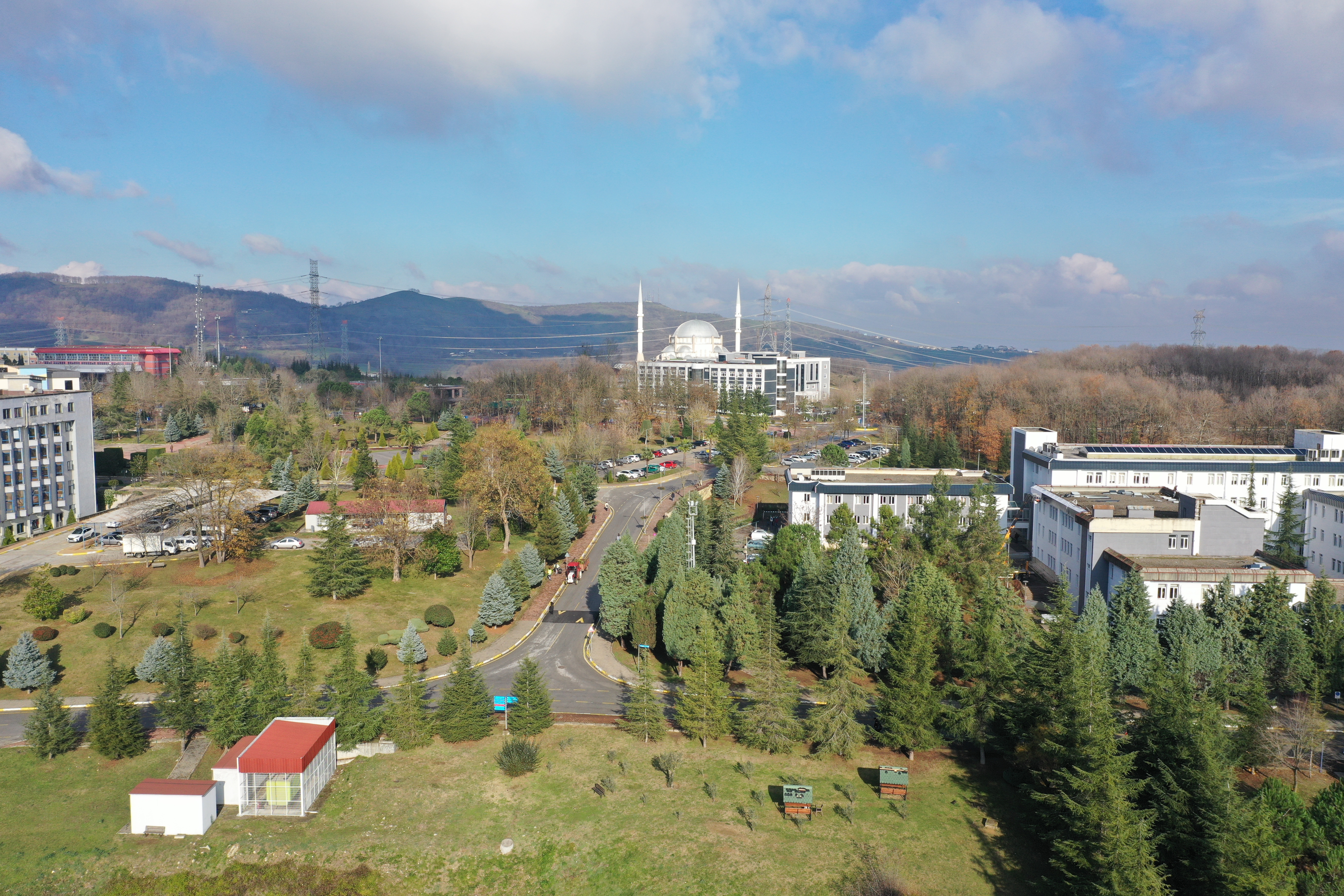 Ergenlikte Artan Siber Zorbalığa Karşı En Etkili Güç: Aile