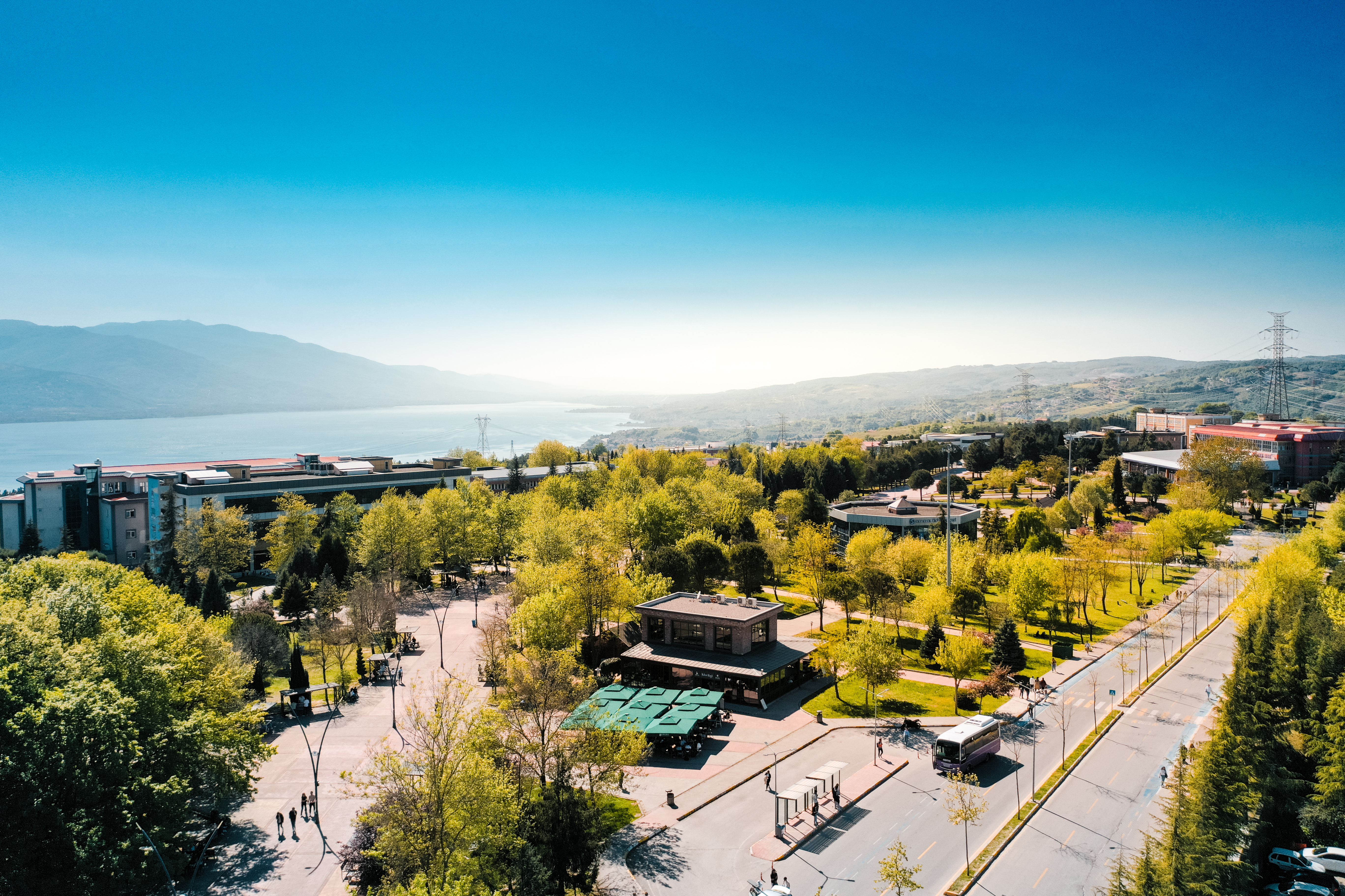 SAU, THE 2026 Alan Bazlı Dünya Sıralamalarında İlk 1000'de